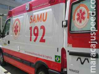 Funcionário de chácara é atingido por árvore após corte e morre no hospital