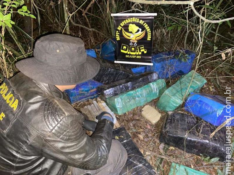Homem se contradiz e polícia encontra quase meia tonelada de maconha em mata Homem se contradiz e polícia encontra quase meia tonelada de maconha em mata