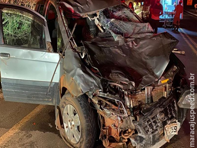 Mãe e filha ficam em estado grave após colisão com animais na MS-040