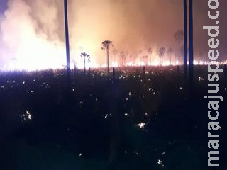 Ministério anuncia desbloqueio de R$ 60 milhões e ações contra incêndios no Pantanal continuam