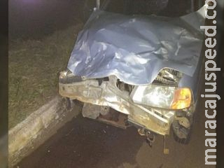 Motorista atropelada anta em rodovia tem carro destruído