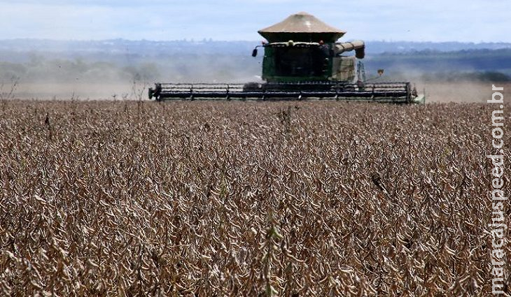 MS tem a 5ª maior produção de grãos do país, com 19,9 milhões de toneladas MS tem a 5ª maior produção de grãos do país, com 19,9 milhões de toneladas