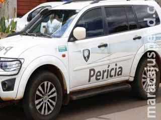 Polícia investiga se cães comeram mão e pés de idosa achada morta em Campo Grande Polícia investiga se cães comeram mão e pés de idosa achada morta em Campo Grande