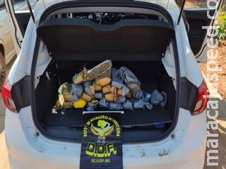 Polícia prende casal a caminho de Campo Grande com carga de supermaconha Polícia prende casal a caminho de Campo Grande com carga de supermaconha