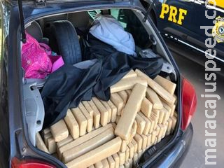 PRF apreende 400 kg de maconha, avaliada em R$ 400 mil, na BR-267 PRF apreende 400 kg de maconha, avaliada em R$ 400 mil, na BR-267