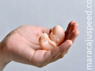Sancionada lei que cria ‘Semana de Sensibilização à Perda Gestacional, Neonatal e Infantil’ Sancionada lei que cria ‘Semana de Sensibilização à Perda Gestacional, Neonatal e Infantil’