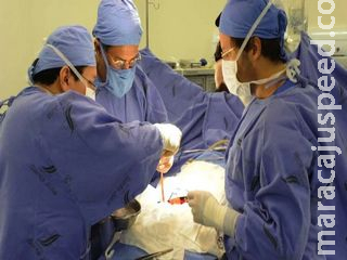 SUS amplia idade para transplante de células-tronco para doenças sanguíneas em idosos de 75 anos SUS amplia idade para transplante de células-tronco para doenças sanguíneas em idosos de 75 anos