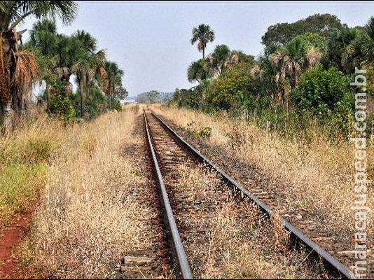 Bolsonaro assina decreto que dá partida ao processo de desestatização da Ferroeste