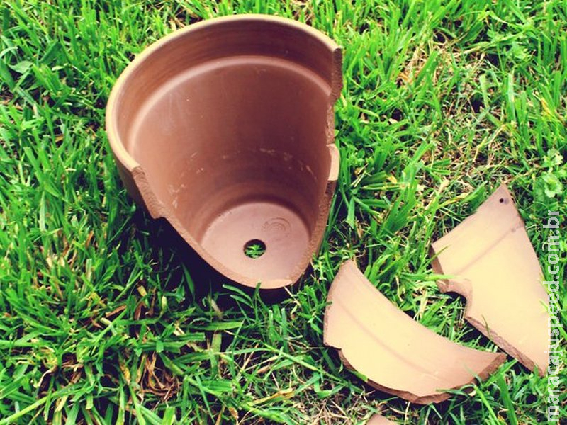 Briga por causa de jardim termina em agressões a pauladas em condomínio Briga por causa de jardim termina em agressões a pauladas em condomínio