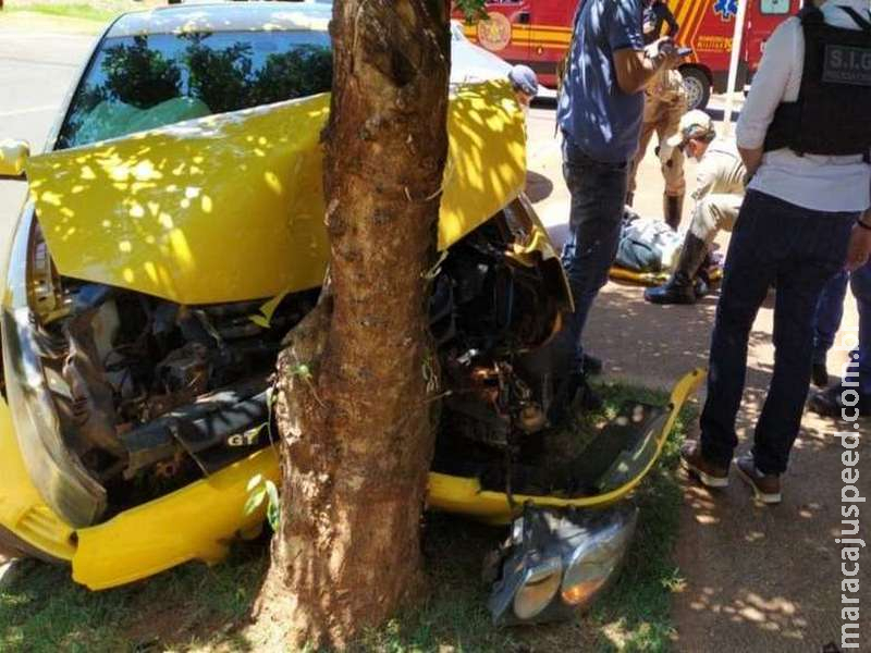 Com cocaína, mulheres tentam fugir de abordagem e batem carro em árvore Com cocaína, mulheres tentam fugir de abordagem e batem carro em árvore