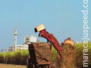 Com consumo de etanol em baixa, indústrias apostam no açúcar e exportações disparam em MS Com consumo de etanol em baixa, indústrias apostam no açúcar e exportações disparam em MS