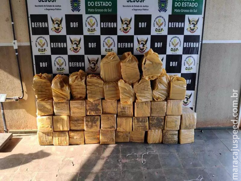 Entreposto do tráfico em sitioca escondia uma tonelada de maconha Entreposto do tráfico em sitioca escondia uma tonelada de maconha