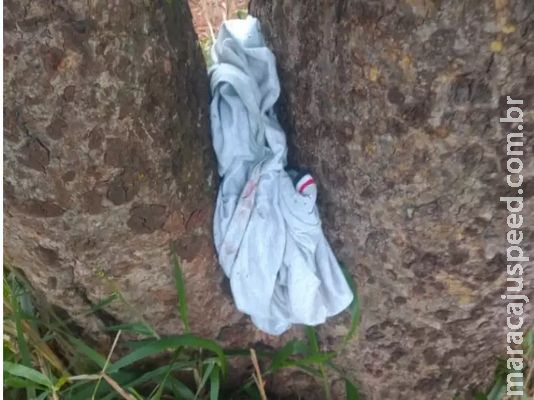 Faca cega fez assassino pegar outra arma para ferir namorada até à morte Faca cega fez assassino pegar outra arma para ferir namorada até à morte
