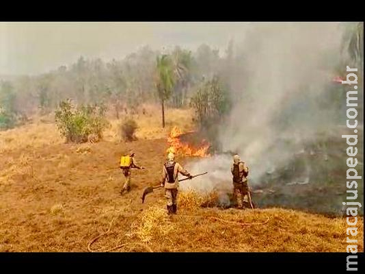 Fazendeiros podem ter destruído 25 mil hectares do Pantanal com incêndios criminosos Fazendeiros podem ter destruído 25 mil hectares do Pantanal com incêndios criminosos
