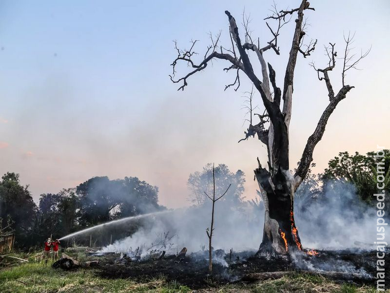 Fogo se espalha, atinge praça e moradores se unem em "força-tarefa" 