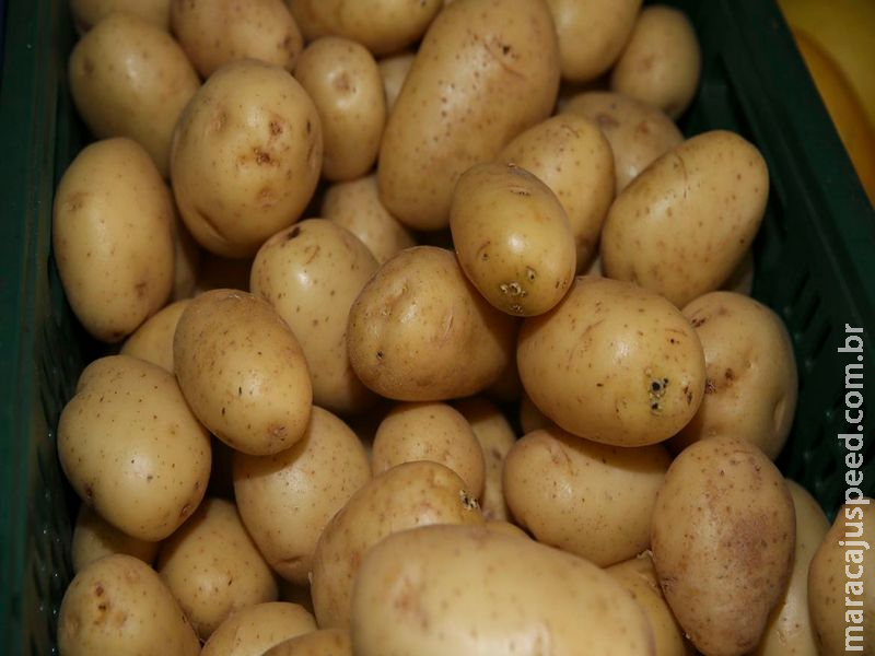 Governo cria Rede de Bancos de Alimentos para combater desperdício