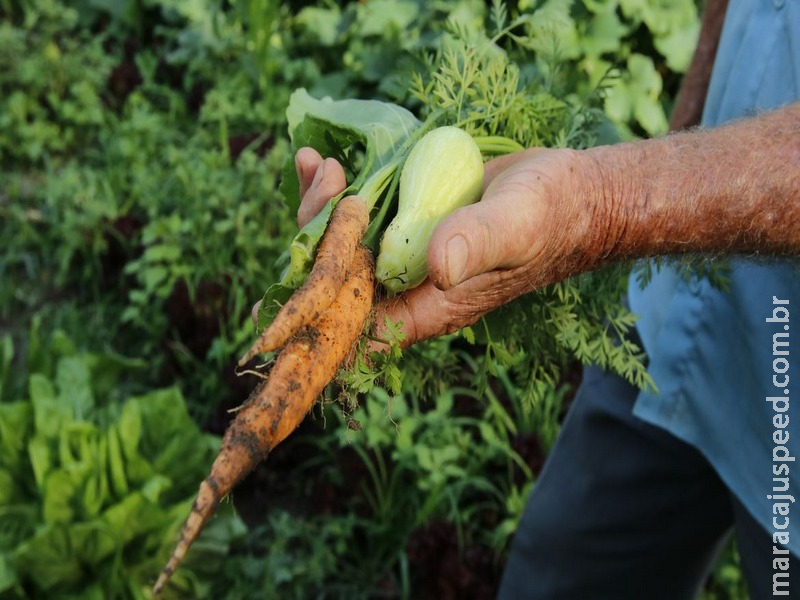 Governo repassa R$ 72,9 milhões a estados para a agricultura familiar