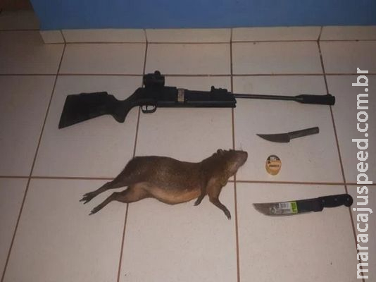 Homem é multado em R$ 5 mil por caçar cutia em Três Lagoas Homem é multado em R$ 5 mil por caçar cutia em Três Lagoas