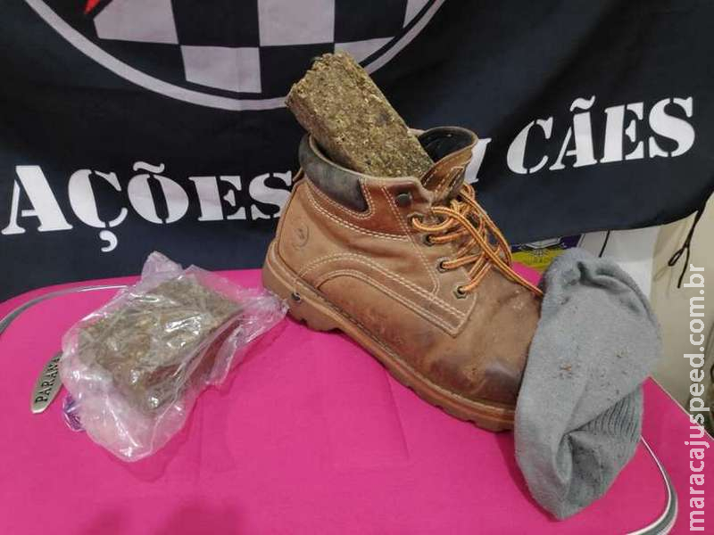 Jovem é encontrado com porções de maconha em mochila e dentro do sapato Jovem é encontrado com porções de maconha em mochila e dentro do sapato