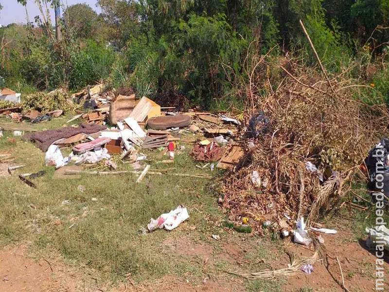 Lixo e até pitbull morto em terreno revoltam moradora no Guanandi Lixo e até pitbull morto em terreno revoltam moradora no Guanandi