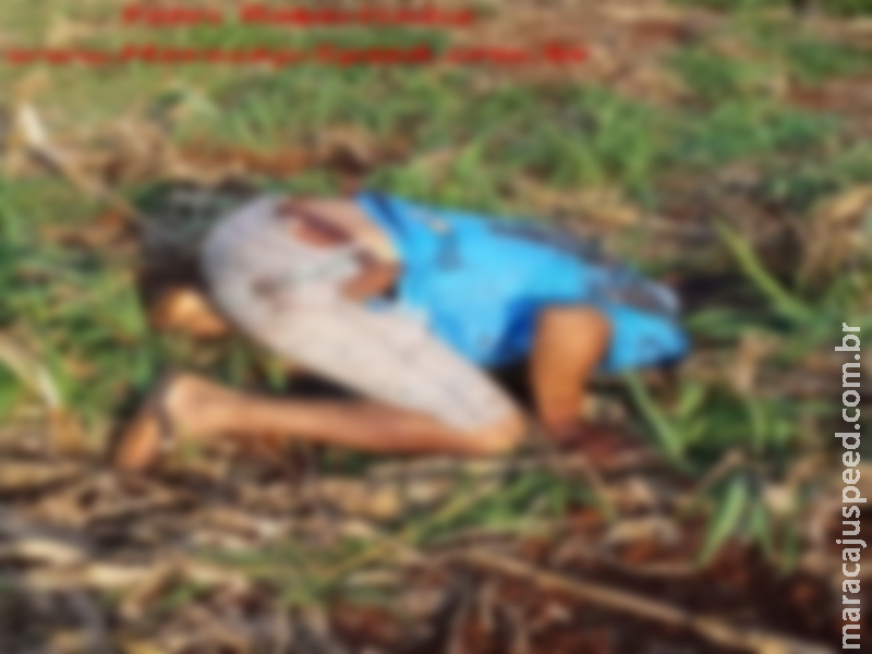 Maracaju: Homem é encontrado morto as margens da Rodovia MS-164. Corpo estava ajoelhado em posição de execução