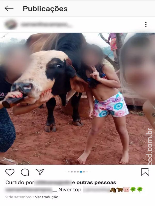 Mulher dá cerveja para vaca amarrada, filma e posta no Instagram  