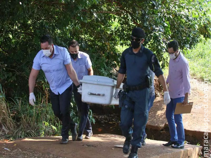 Mulher trans encontrada em árvore tinha 28 anos e era formada em Artes Cênicas Mulher trans encontrada em árvore tinha 28 anos e era formada em Artes Cênicas