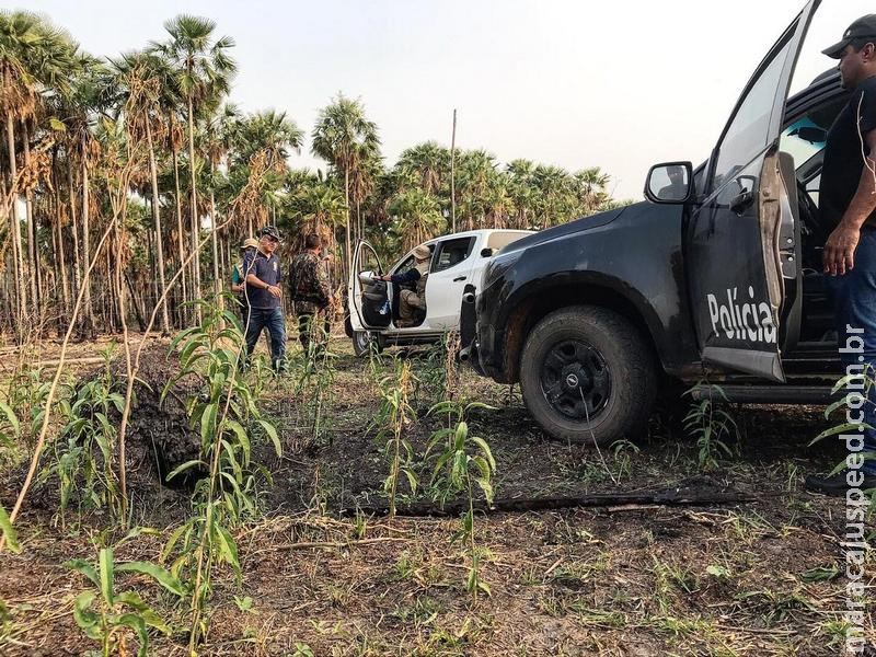 Operação já vistoriou 30 fazendas para identificar origem das queimadas no Pantanal