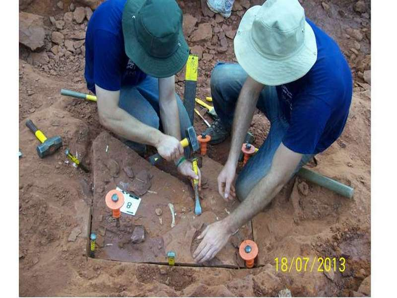 Pesquisadores apresentam dados inéditos sobre dinossauro brasileiro Pesquisadores apresentam dados inéditos sobre dinossauro brasileiro