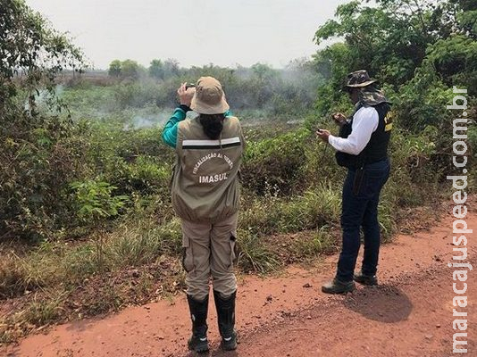 PMA aguarda laudo para autuar fazendas por crime ambiental no Pantanal