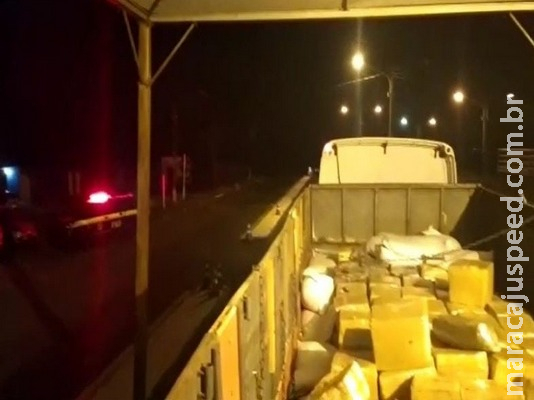 PRF apreende 11,2 toneladas de maconha sob carga de sementes de girassol PRF apreende 11,2 toneladas de maconha sob carga de sementes de girassol