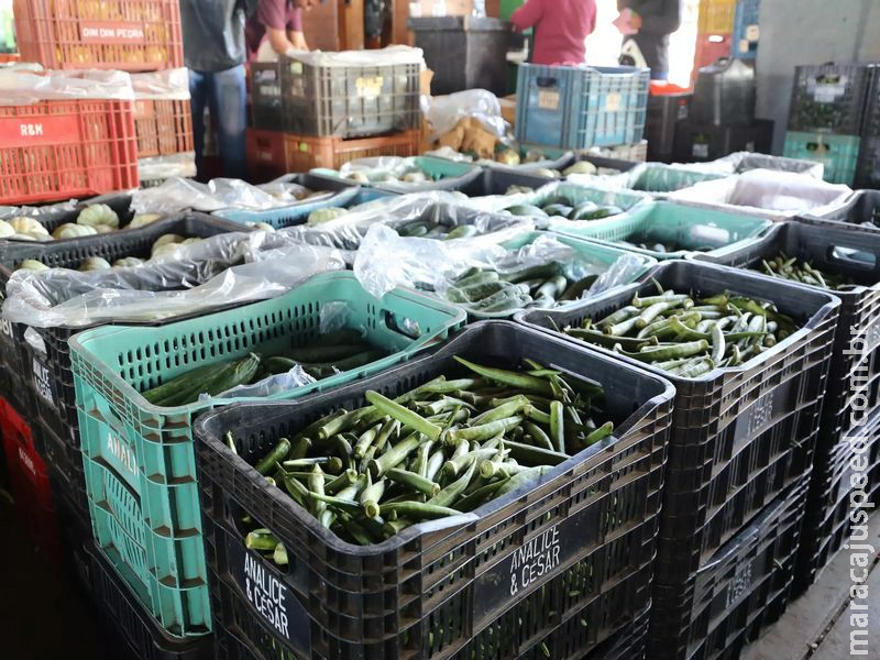 Quilo do quiabo está valendo mais que da goiaba e pode custar até R$ 24,90 Quilo do quiabo está valendo mais que da goiaba e pode custar até R$ 24,90