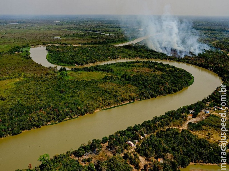 Senadores da Comissão do Pantanal aprovam cronograma de trabalho