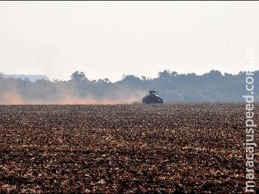 Soja ainda não foi plantada, mas 50% da safra foi comercializada no Estado