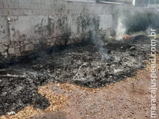 Suspeito de provocar incêndio em terreno é preso em flagrante e multado em R$ 5 mil