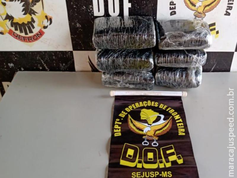 DOF apreende droga em posse de uma passageira que estava em um ônibus próximo a Dourados DOF apreende droga em posse de uma passageira que estava em um ônibus próximo a Dourados