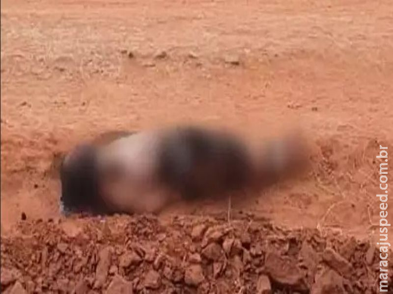 Em menos de 24 horas quatro pessoas foram assassinadas na fronteira Em menos de 24 horas quatro pessoas foram assassinadas na fronteira