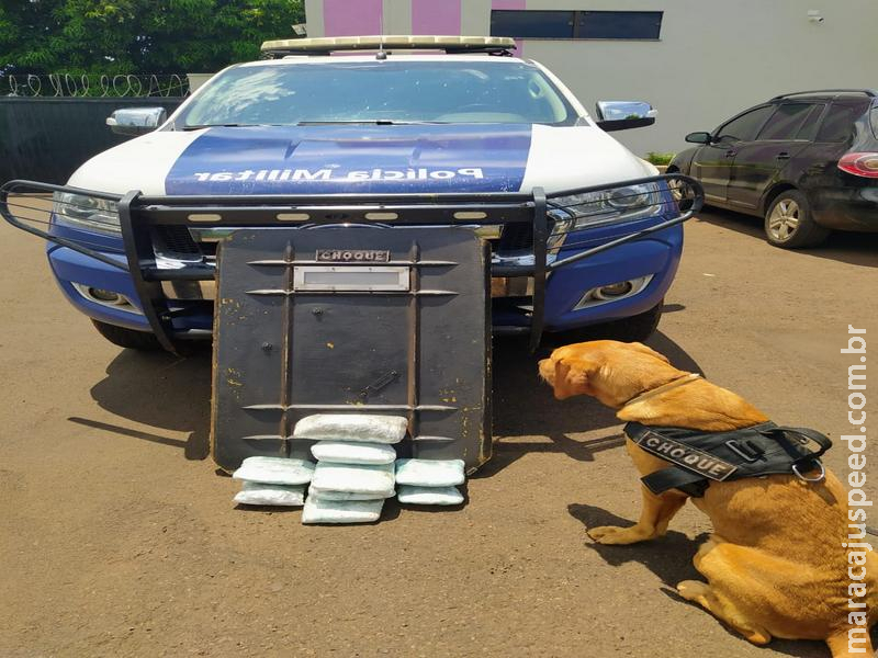 Maracaju: Batalhão do Choque com equipe do “Canil” prende casal por tráfico de drogas Maracaju: Batalhão do Choque com equipe do “Canil” prende casal por tráfico de drogas