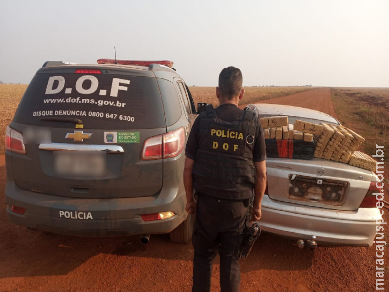 Maracaju: Veículo que seguia para Campo Grande com mais de 360 quilos de maconha foi apreendido pelo DOF Maracaju: Veículo que seguia para Campo Grande com mais de 360 quilos de maconha foi apreendido pelo DOF