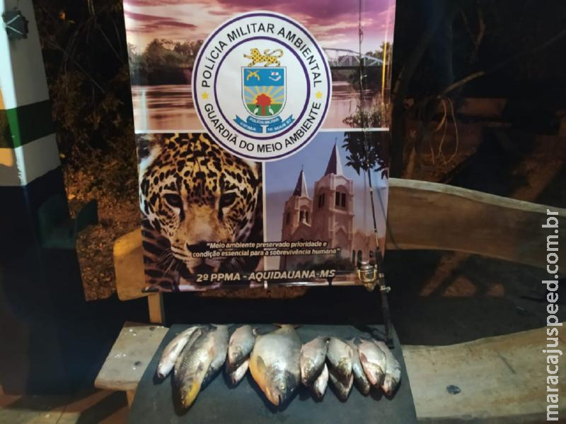 Polícia Militar Ambiental de Aquidauana prende e autua pescador em R$ 1,2 mil com pescado capturado acima da cota permitida e apreende 13 kg de pescado e veículo Polícia Militar Ambiental de Aquidauana prende e autua pescador em R$ 1,2 mil com pescado capturado acima da cota permitida e apreende 13 kg de pescado e veículo