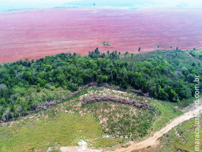 Polícia Militar Ambiental de Mundo Novo autua infrator em R$ 7 mil por desmatamento ilegal de vegetação de bioma protegido em sua propriedade em Tacuru