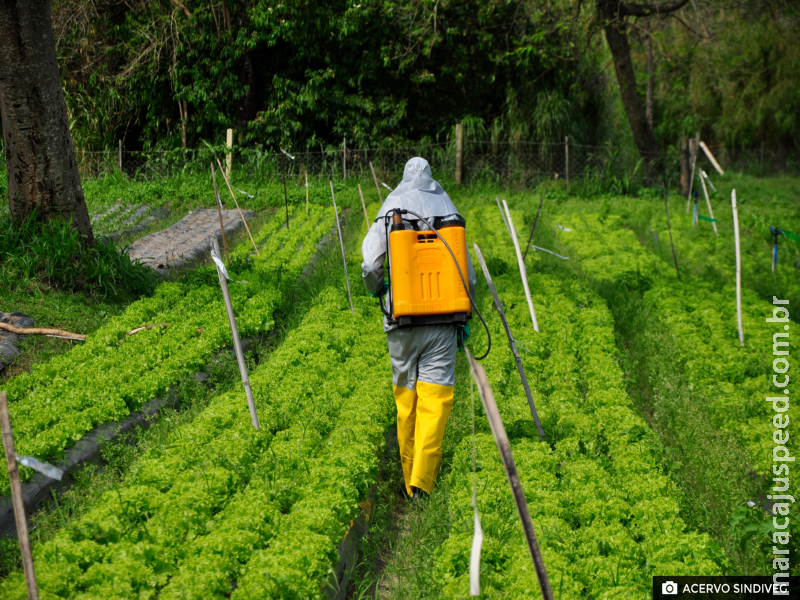 Sindiveg lança manual inédito sobre segurança na aplicação de defensivos agrícolas Sindiveg lança manual inédito sobre segurança na aplicação de defensivos agrícolas