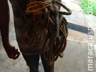 Caminhoneiro é amarrado, colocado em porta-malas e mantido em cárcere por 9 horas durante roubo Caminhoneiro é amarrado, colocado em porta-malas e mantido em cárcere por 9 horas durante roubo