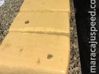 Cão fareja malas recheadas de maconha e homem é preso na rodoviária de Campo Grande Cão fareja malas recheadas de maconha e homem é preso na rodoviária de Campo Grande