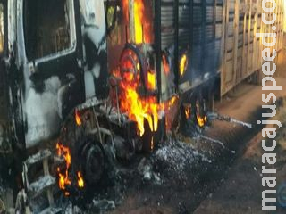 Carreta pega fogo com bois e bombeiros conseguem salvar animais Carreta pega fogo com bois e bombeiros conseguem salvar animais