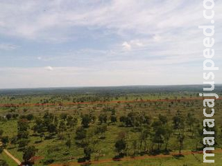 Fazendeiro é multado em R$ 25 mil por desmatamento ilegal de vegetação