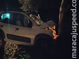 Funcionário de fazenda perde controle e morre ao bater carro em árvore