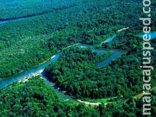 Governo firma acordo com banco alemão para projetos de conservação na Amazônia