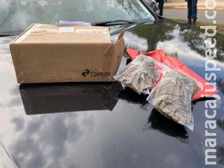 Homem é preso logo após pegar ‘encomenda’ nos Correios
