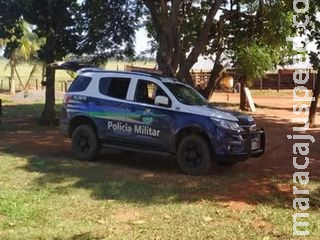 Ladrões invadem sítio de Cassilândia e fogem levando oito leitoas Ladrões invadem sítio de Cassilândia e fogem levando oito leitoas